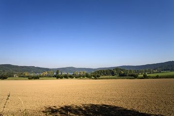 Die Felder rund um den Vulkankratersee Laacher See in Deutschland. (Photo: Tobias Schorr)