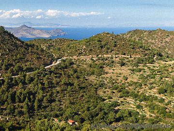 Small lava domes in western Methana and in the background the volcano Oros on Aegina island. (Photo: Tobias Schorr)